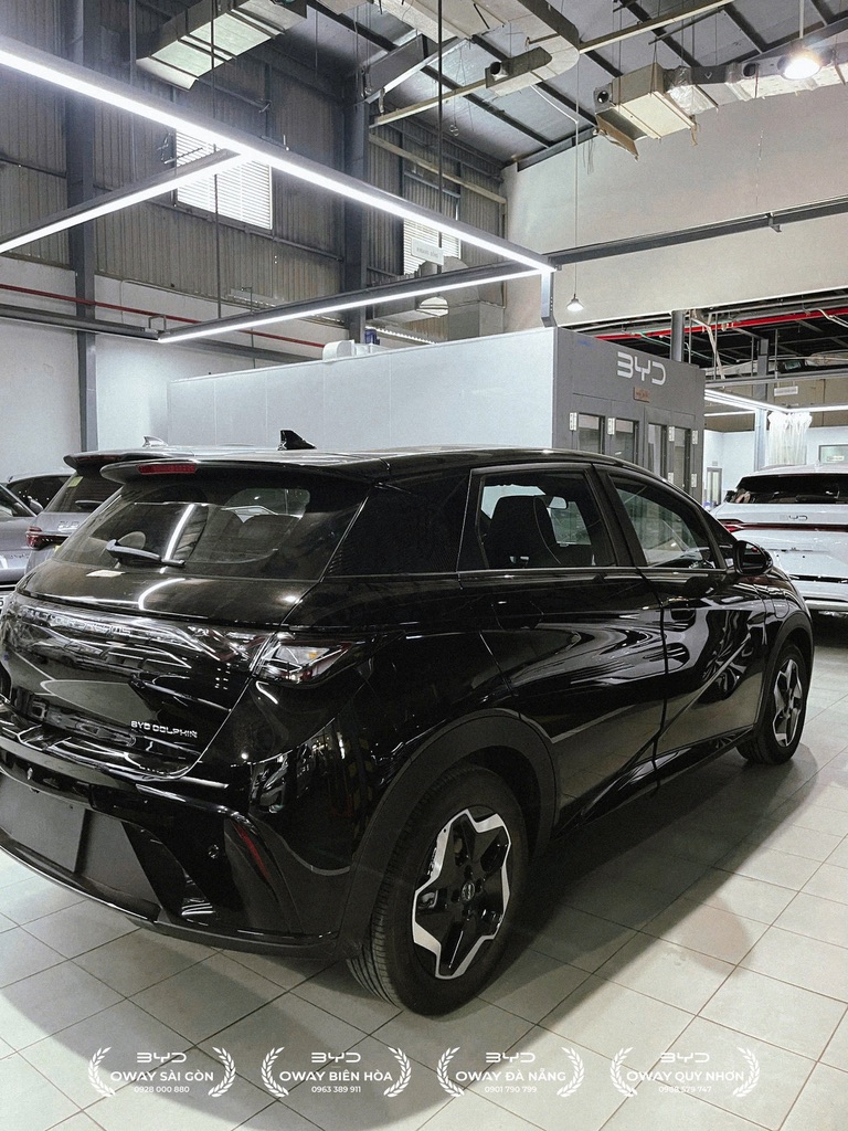 BYD Dolphin - Ảnh 14