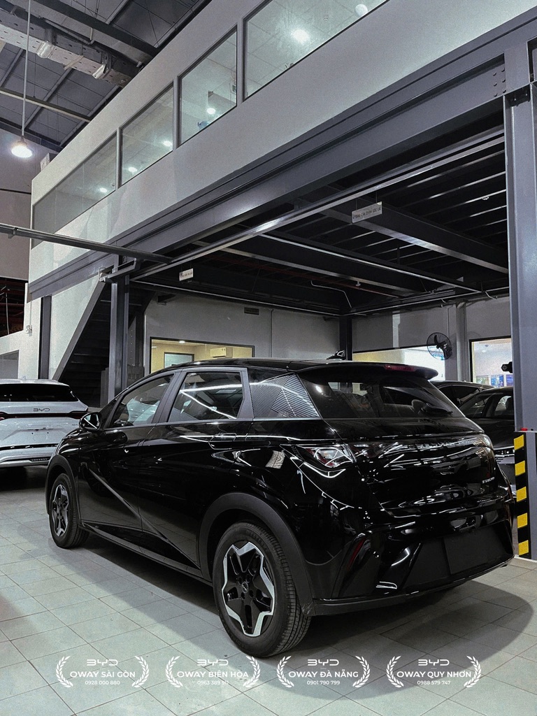 BYD Dolphin - Ảnh 11