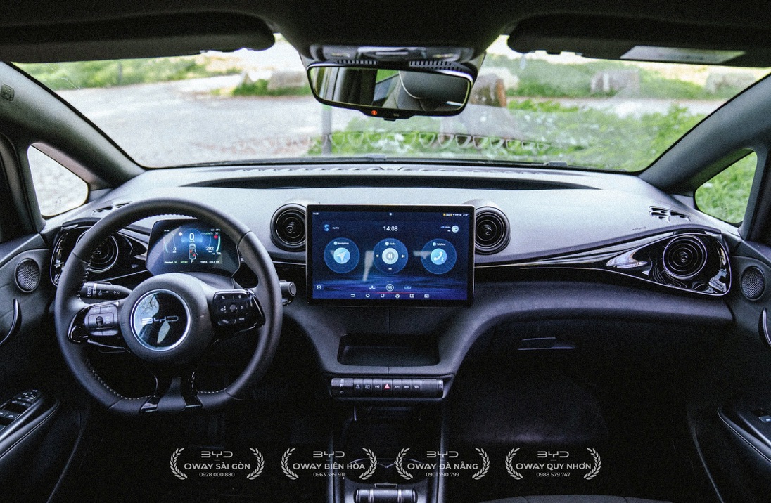 Dolphin 2026