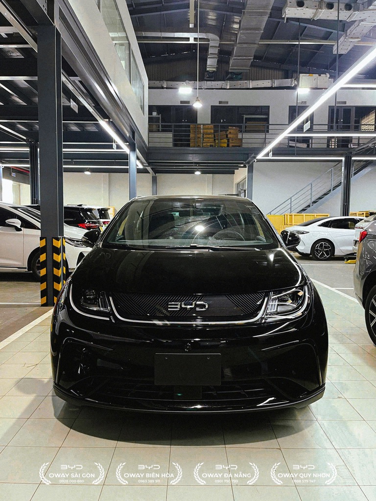 BYD Dolphin - Ảnh 13