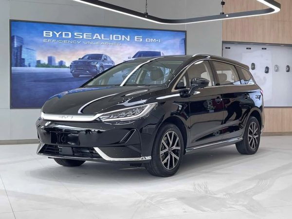 BYD M6