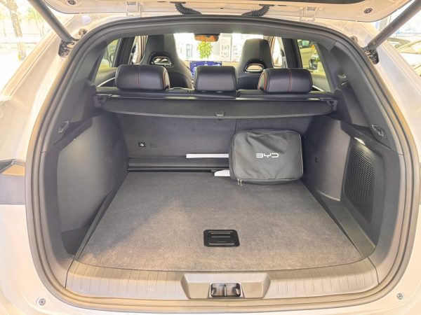 BYD Sealion 6