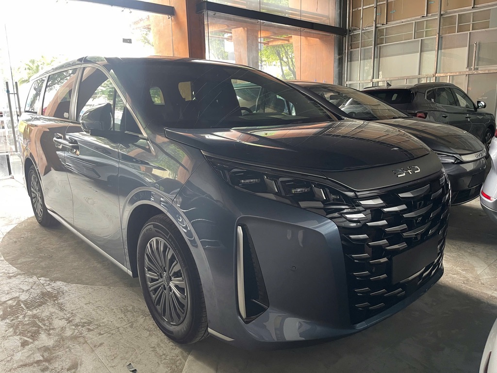 BYD M9