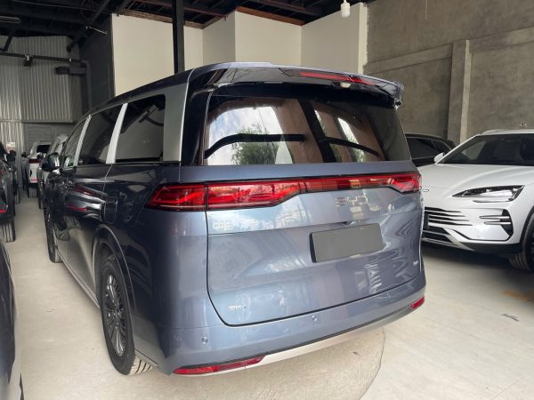BYD M9