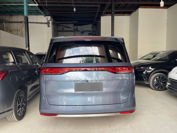 BYD M9