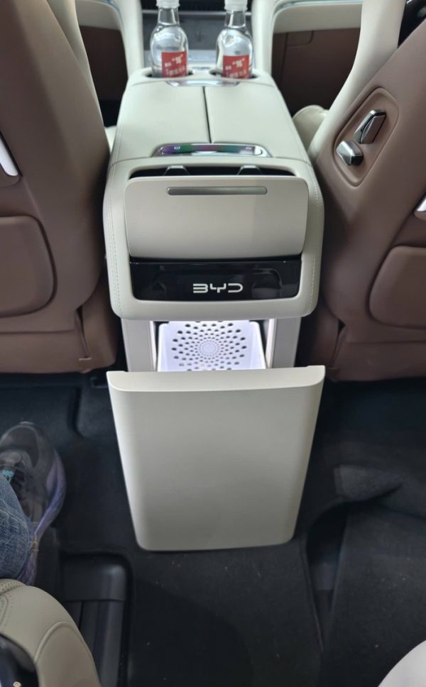 BYD M9