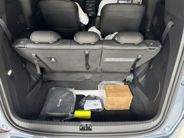 BYD M9