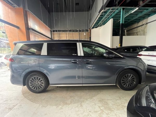 BYD M9